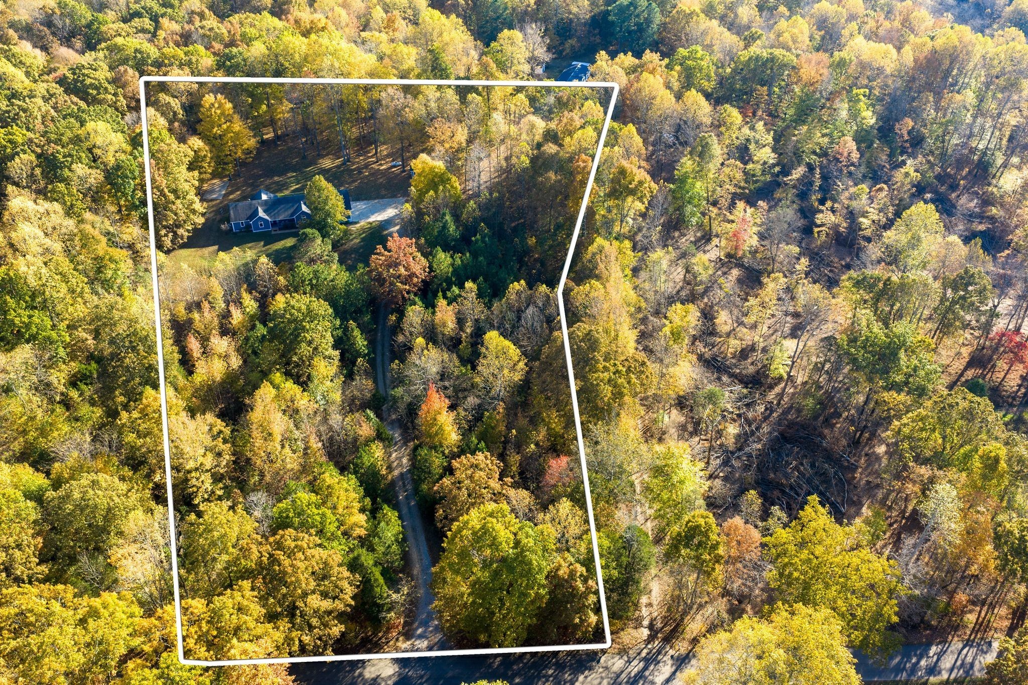 936 Promise Land Road Charlotte, TN 37036 - Photo 51 of 53