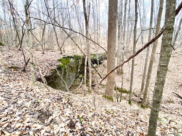 11000 Anneta Road Leitchfield, KY 42754 - Photo 14 of 34 rock shelter 5