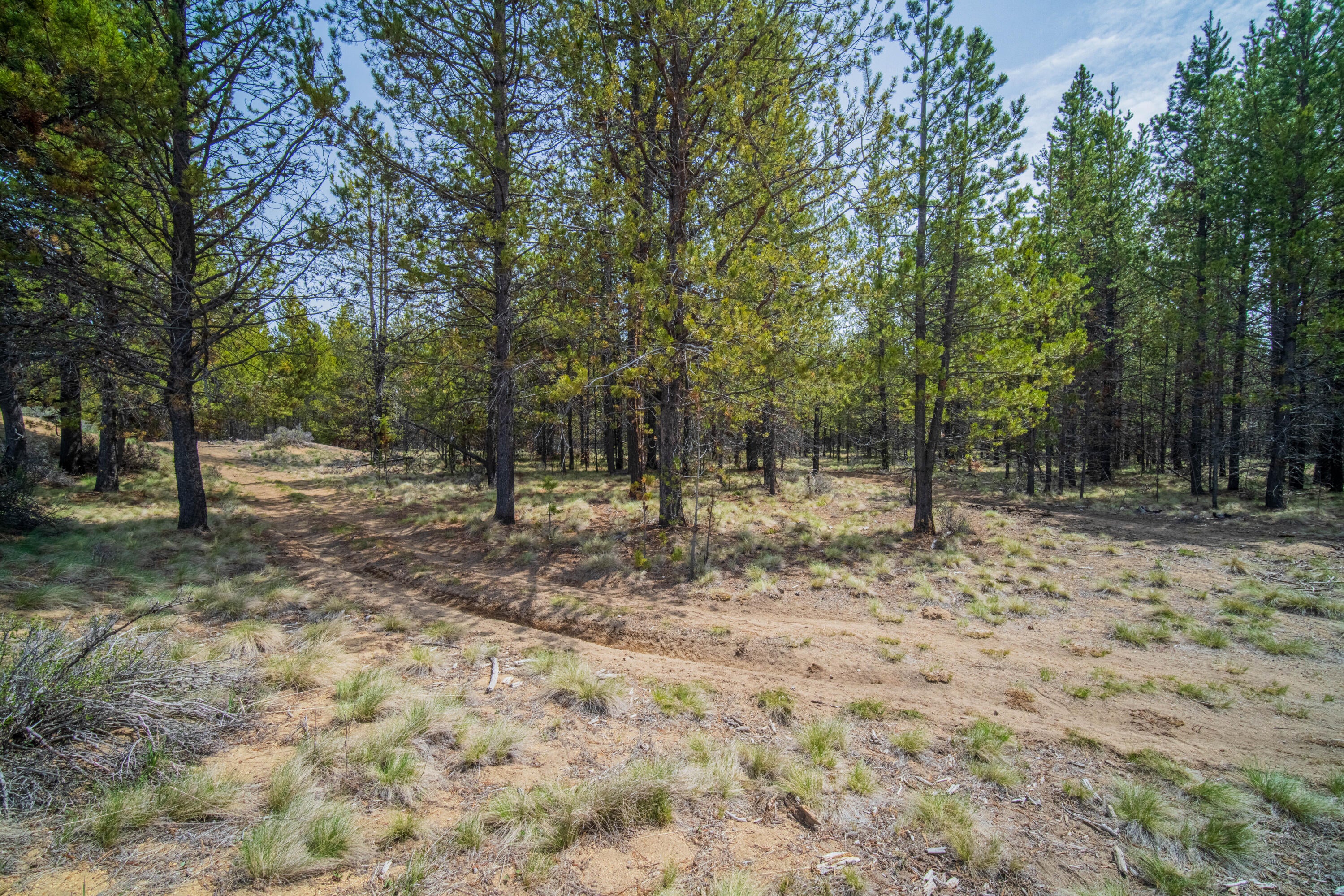 54970 Roundtree Lane Bend, OR 97707 - Photo 4 of 17 54970 Roundtree Ln-09