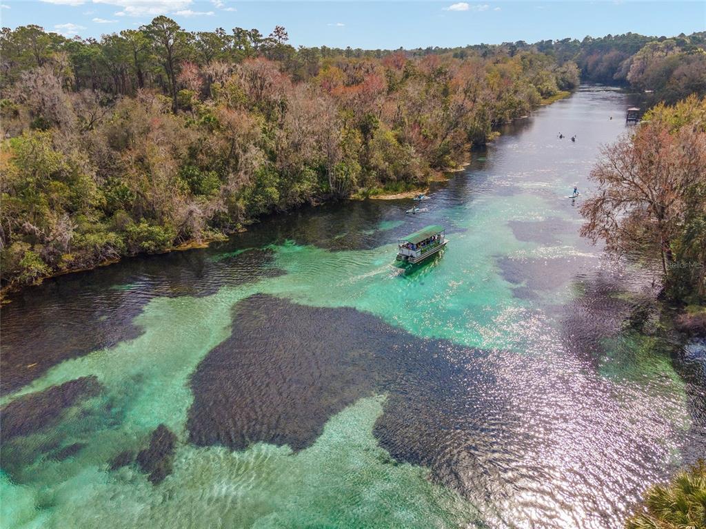 19654 Southwest 88th Loop Dunnellon, FL 34432 - Photo 93 of 100