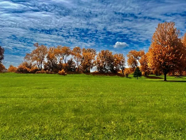 a view of a field of grass and trees