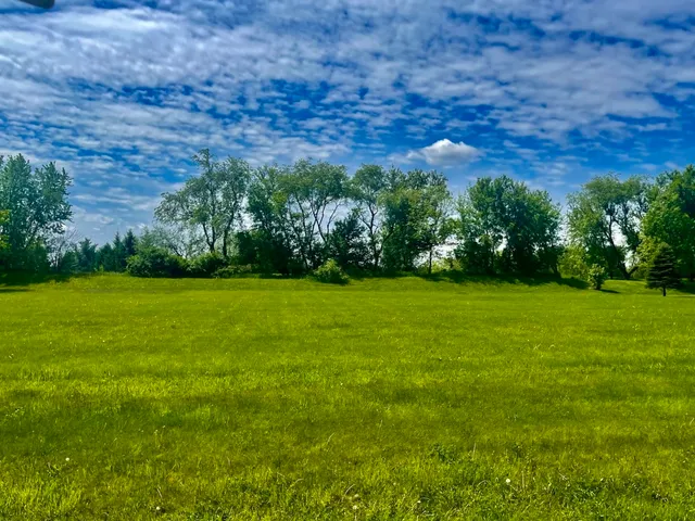 a view of a grassy field with trees