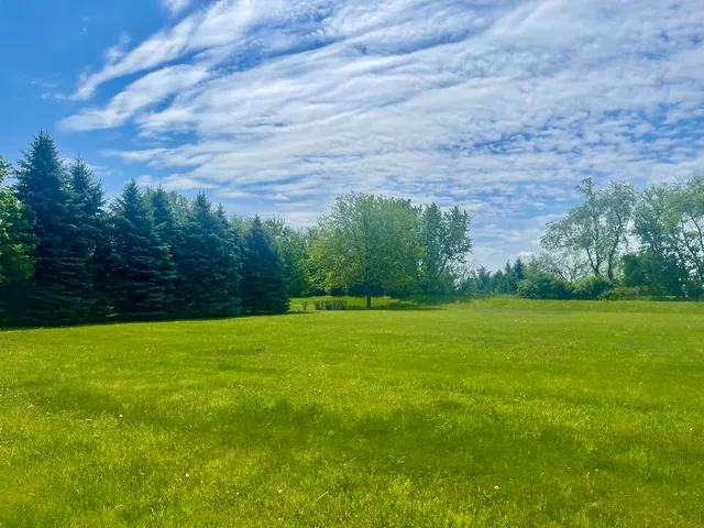 a view of a green yard
