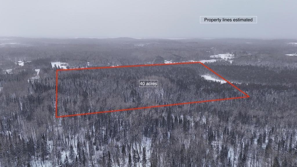 Xx40 Lavaque Road Duluth, MN 55803 - Photo 1 of 21 Welcom to 40 acres of mature cedar forest in Duluth MN!