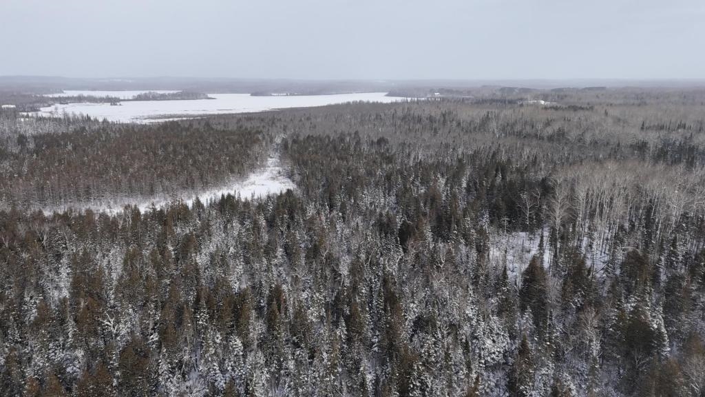 Xx40 Lavaque Road Duluth, MN 55803 - Photo 11 of 21 Aerial View