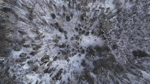 $128,000 | Xx40 Lavaque Road, Duluth, MN 55803