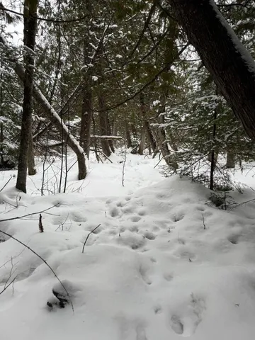 $128,000 | Xx40 Lavaque Road, Duluth, MN 55803