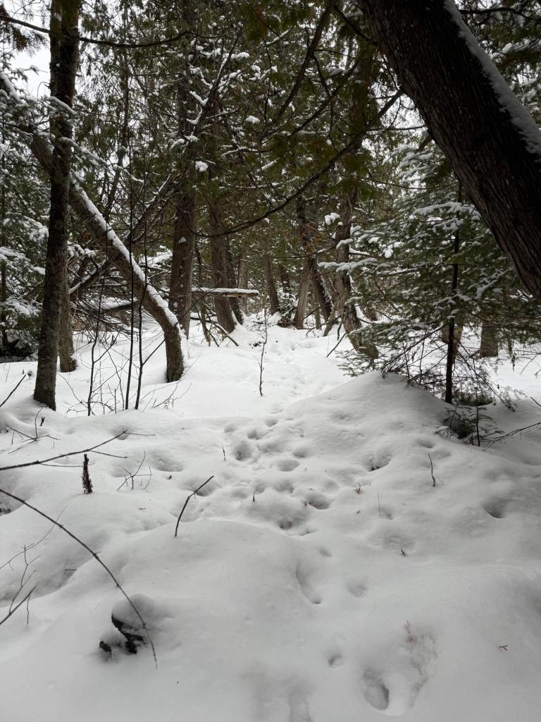 Xx40 Lavaque Road Duluth, MN 55803 - Photo 13 of 21