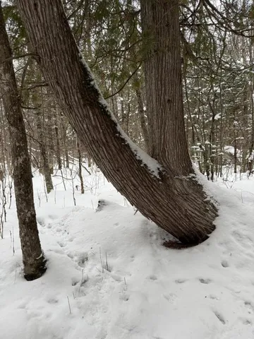 $128,000 | Xx40 Lavaque Road, Duluth, MN 55803