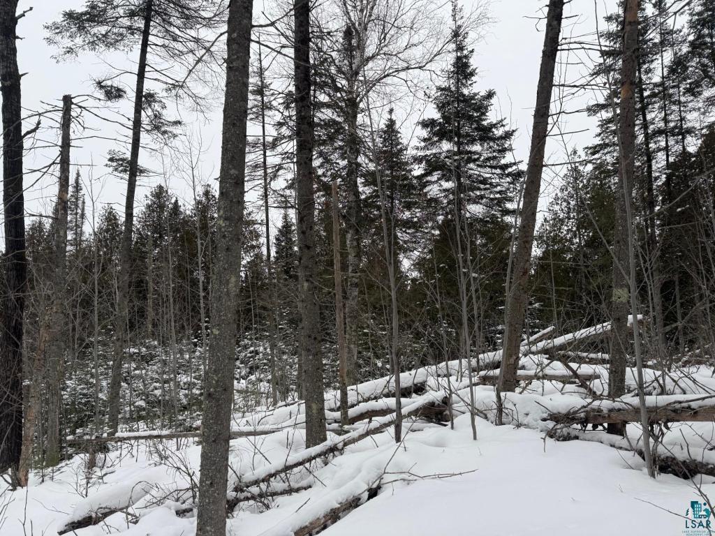 Xx40 Lavaque Road Duluth, MN 55803 - Photo 17 of 21 Gallery Image 17