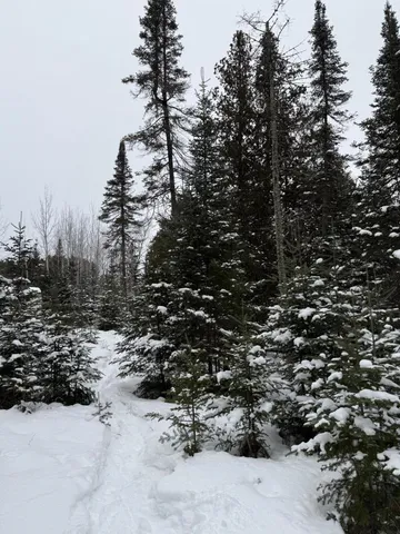 $128,000 | Xx40 Lavaque Road, Duluth, MN 55803