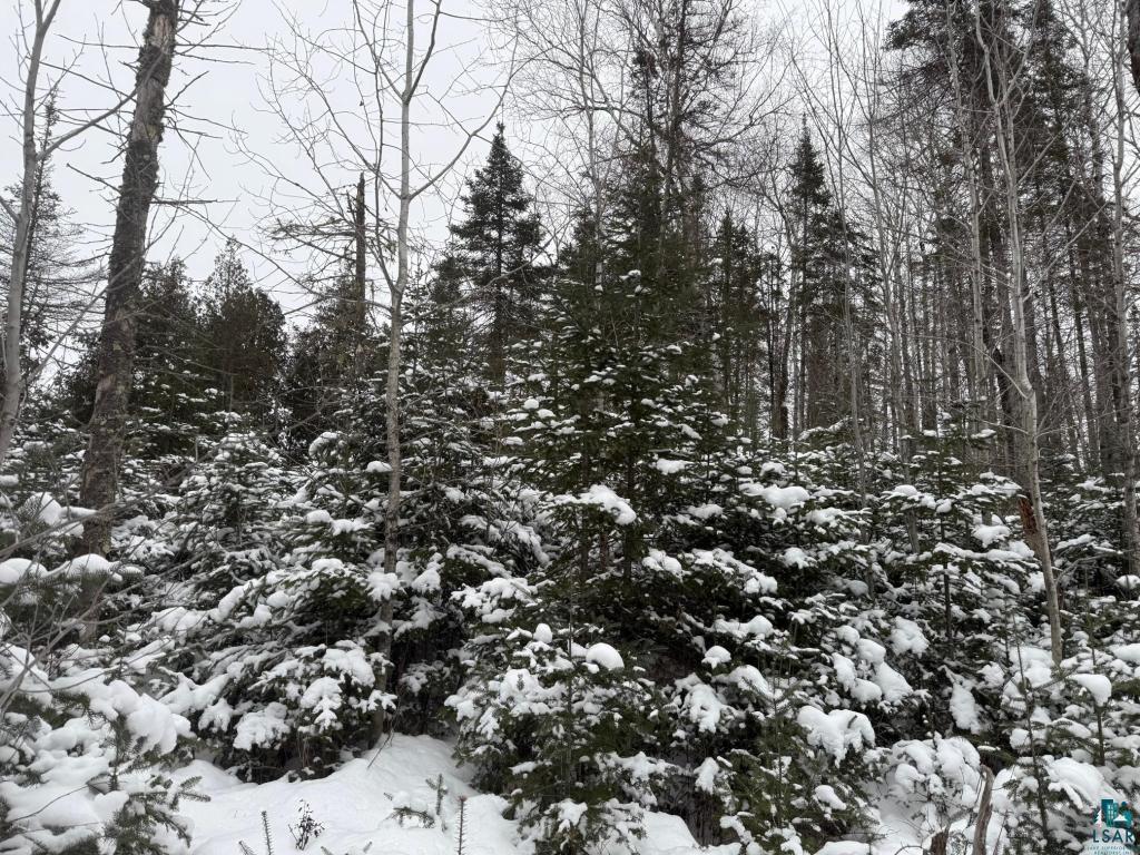 Xx40 Lavaque Road Duluth, MN 55803 - Photo 19 of 21 Gallery Image 19