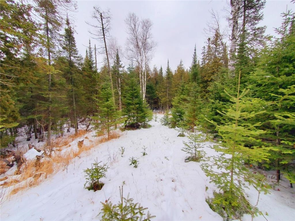 Xx40 Lavaque Road Duluth, MN 55803 - Photo 5 of 21 Higher ground