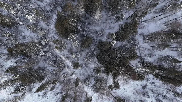 $128,000 | Xx40 Lavaque Road, Duluth, MN 55803