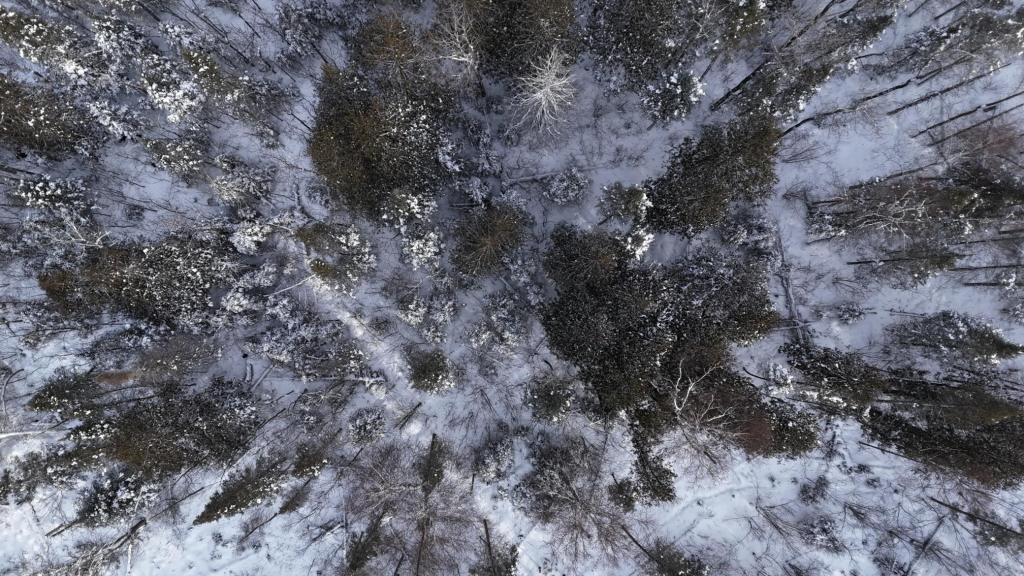 Xx40 Lavaque Road Duluth, MN 55803 - Photo 6 of 21 Aerial view