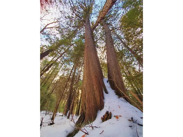 $128,000 | Xx40 Lavaque Road, Duluth, MN 55803