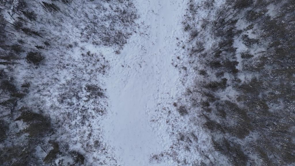 Xx40 Lavaque Road Duluth, MN 55803 - Photo 9 of 21 Aerial of swamp in Northeast corner