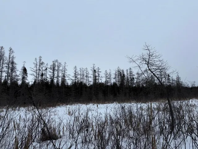 $128,000 | Xx40 Lavaque Road, Duluth, MN 55803