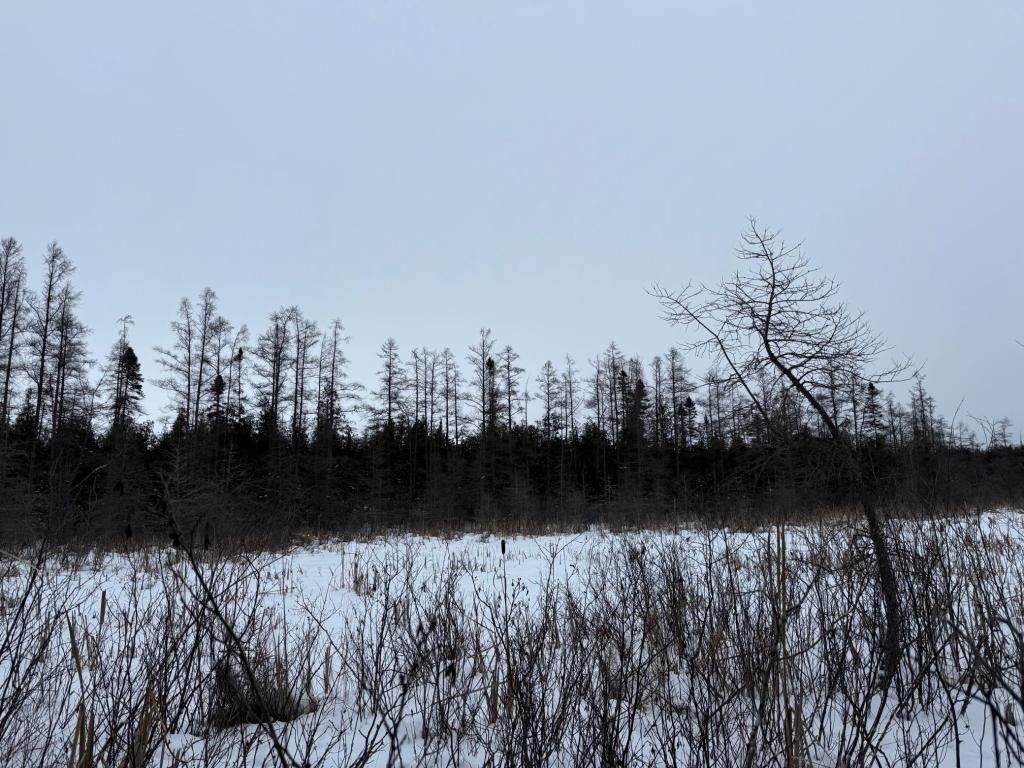 Xx40 Lavaque Road Duluth, MN 55803 - Photo 10 of 21