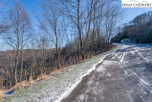 a view of road and trees