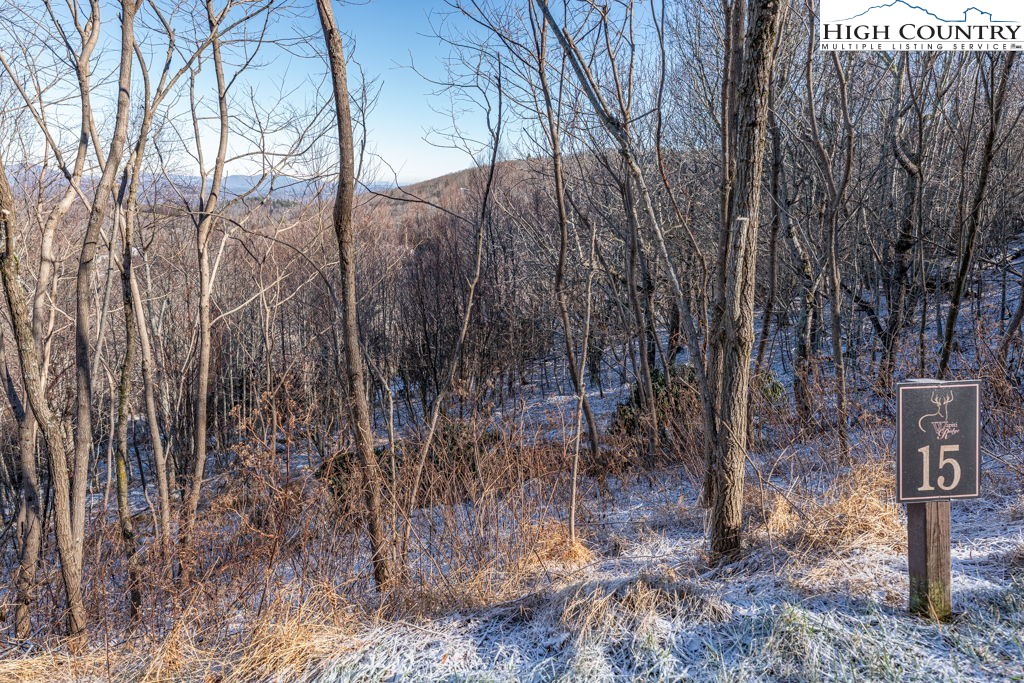 Antler Trail Boone, NC 28607 - Photo 2 of 24 Gallery Image 2