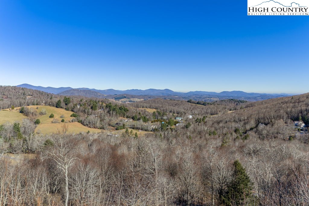 Antler Trail Boone, NC 28607 - Photo 6 of 24 Gallery Image 6