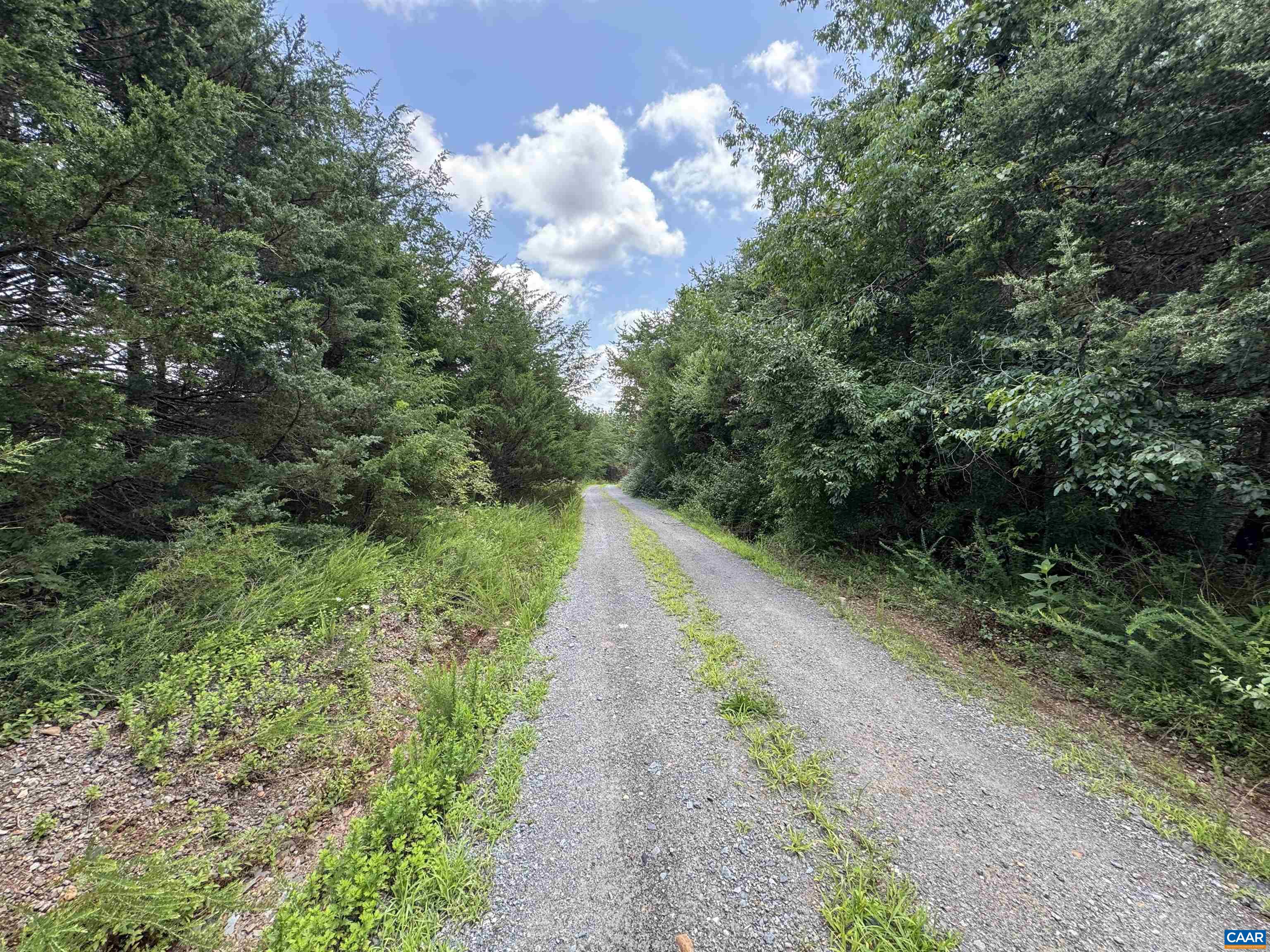 Tbd Fishpond Road Howardsville, VA 24562 - Photo 5 of 14