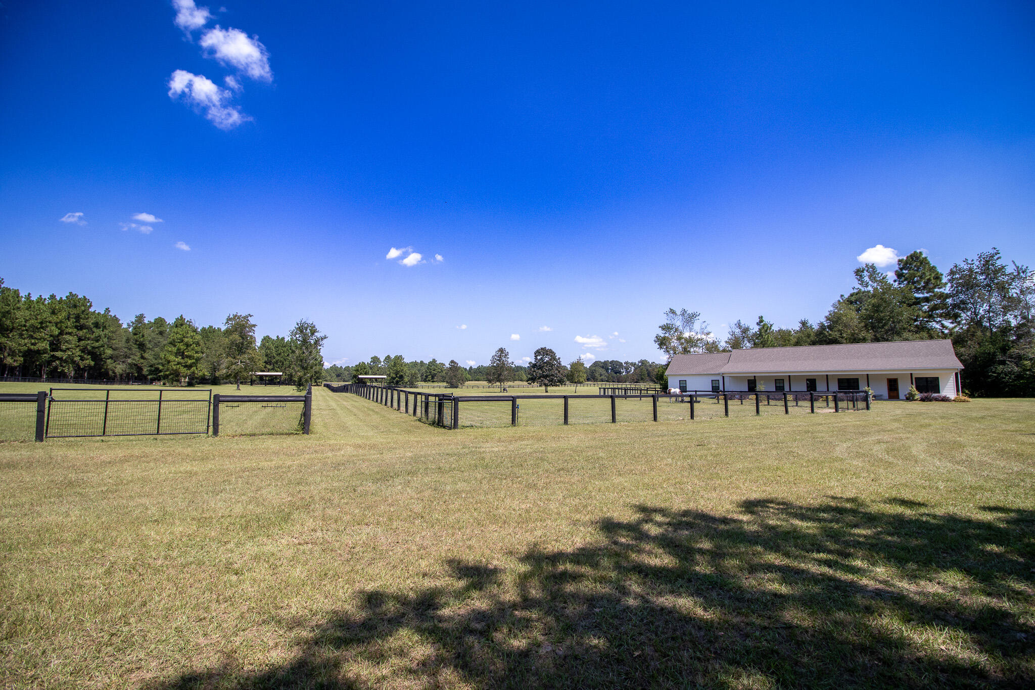 571 Oak Ridge Club Road Windsor, SC 29856 - Photo 76 of 107