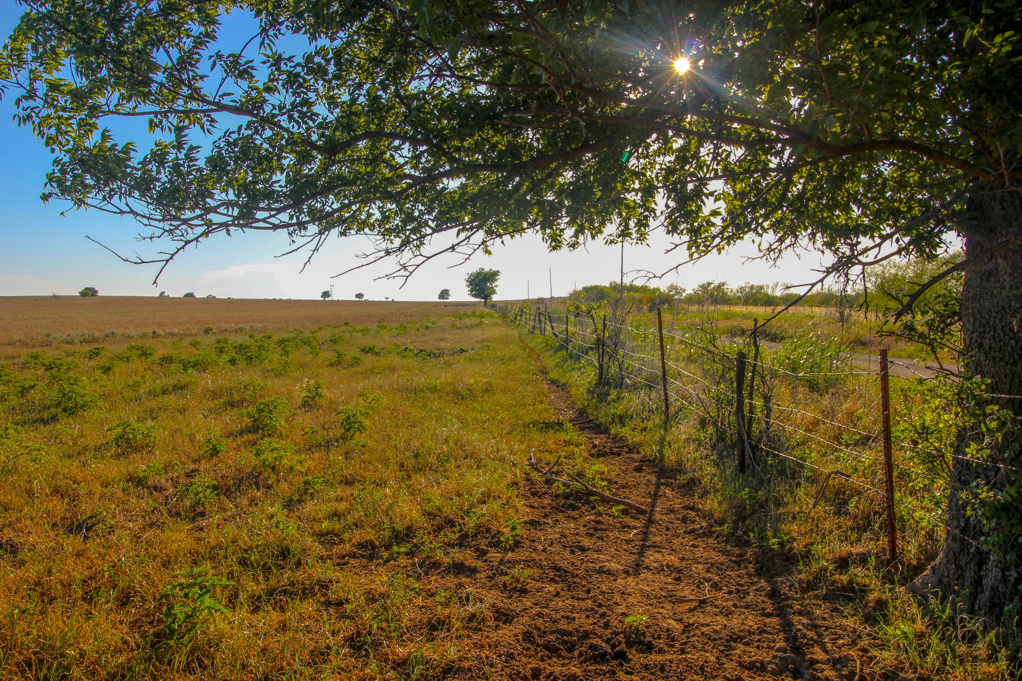0 Cunningham Road Nocona, TX 76255 - Photo 9 of 18