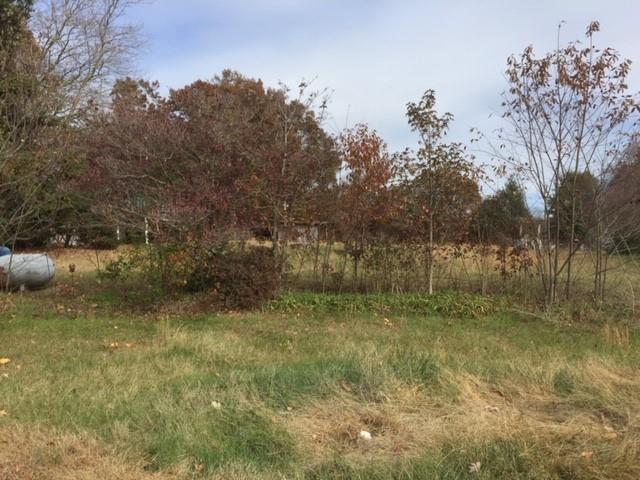 1018 Draco Road Lenoir, NC 28645 - Photo 2 of 12 Gallery Image 2