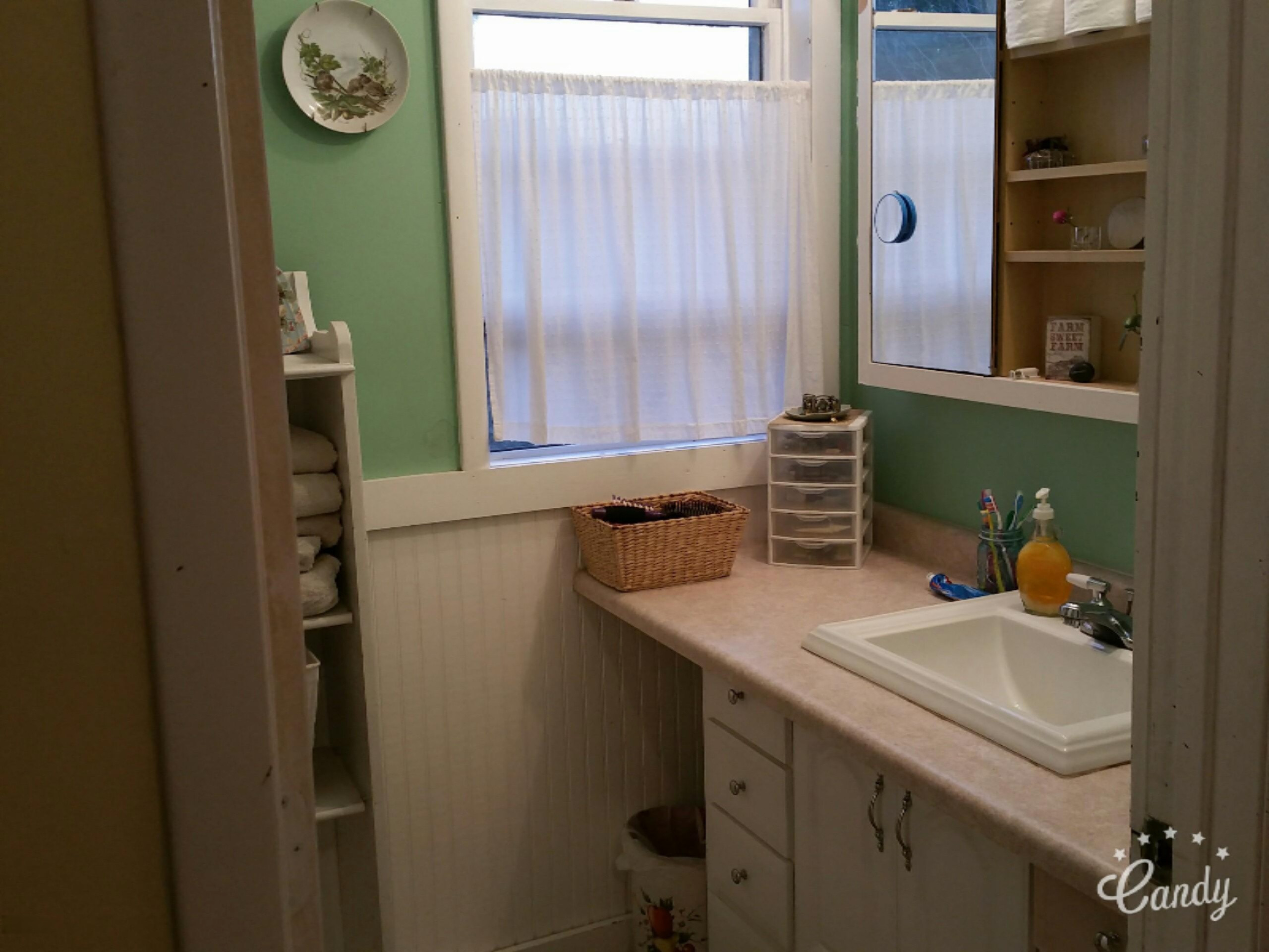 10575 Johnson Road Brethren, MI 49619 - Photo 18 of 42 bath