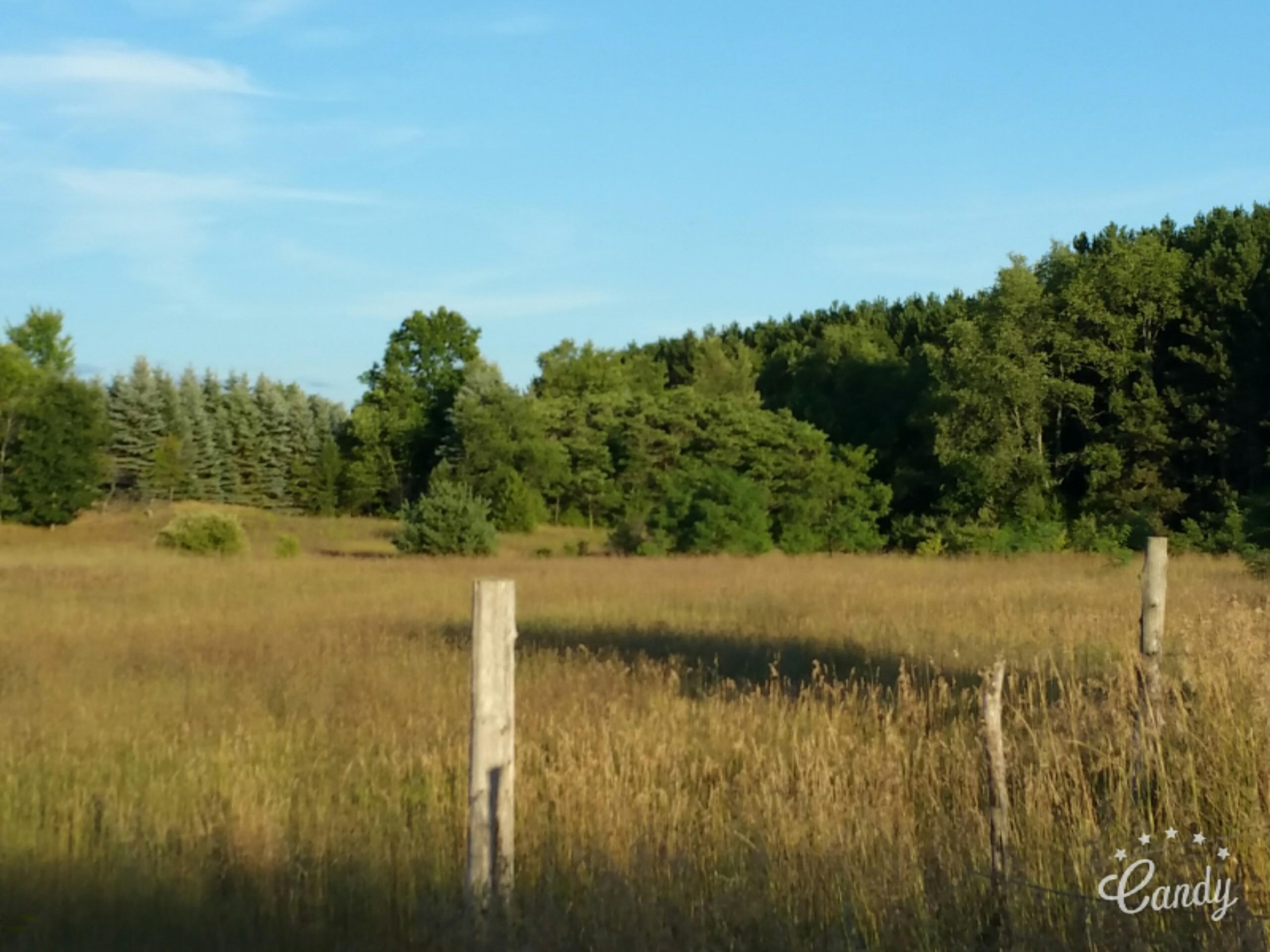 10575 Johnson Road Brethren, MI 49619 - Photo 21 of 42 att0