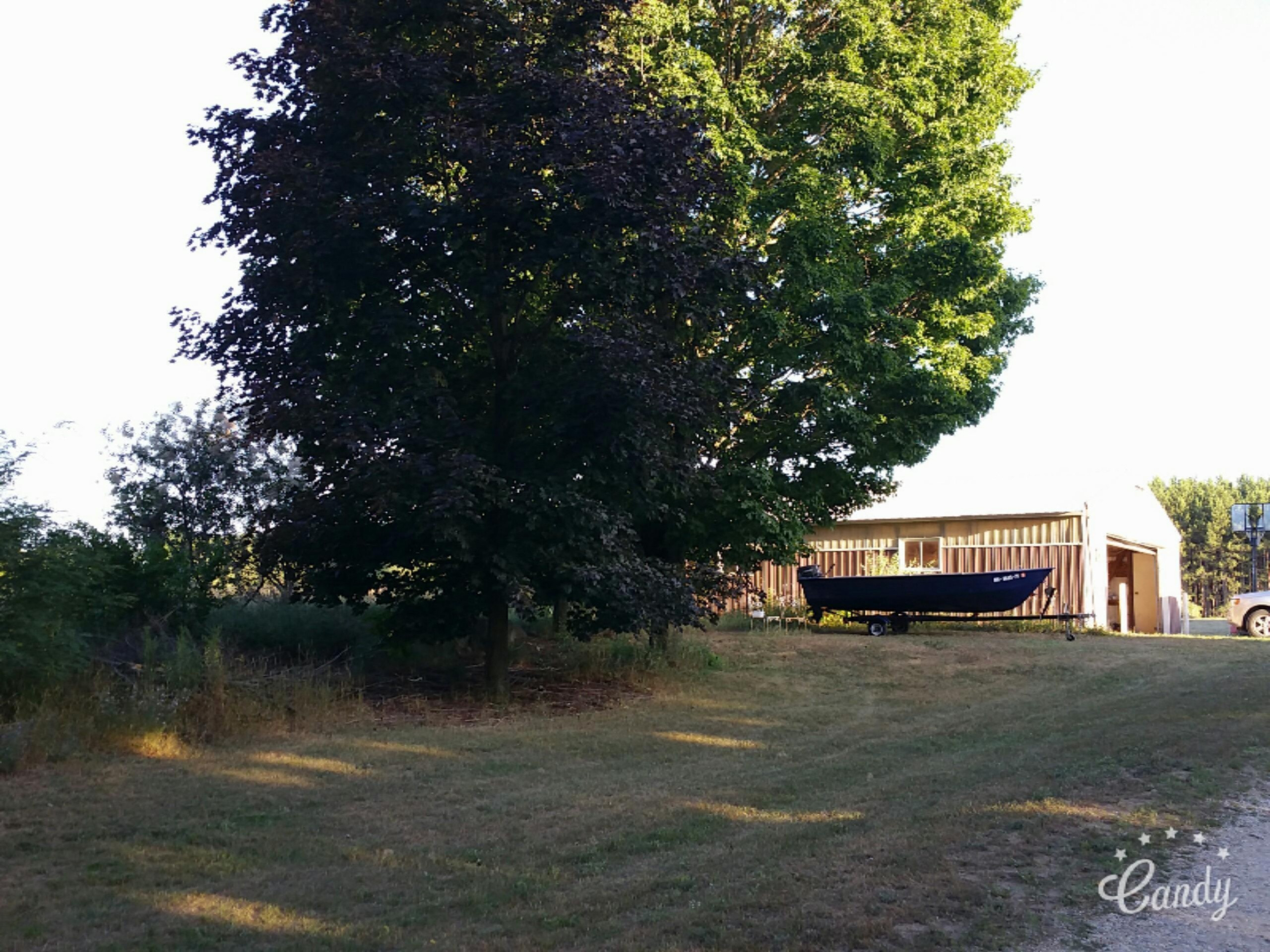 10575 Johnson Road Brethren, MI 49619 - Photo 38 of 42 garage tree