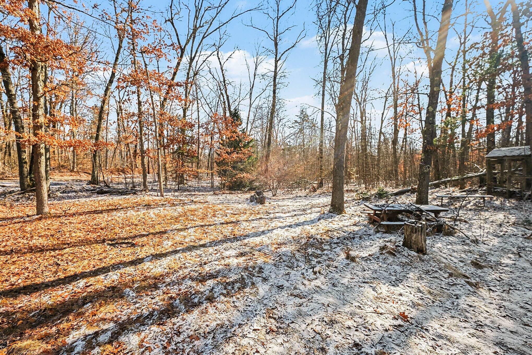 810 East 3 Mile Road White Cloud, MI 49349 - Photo 30 of 44 029_file_5135