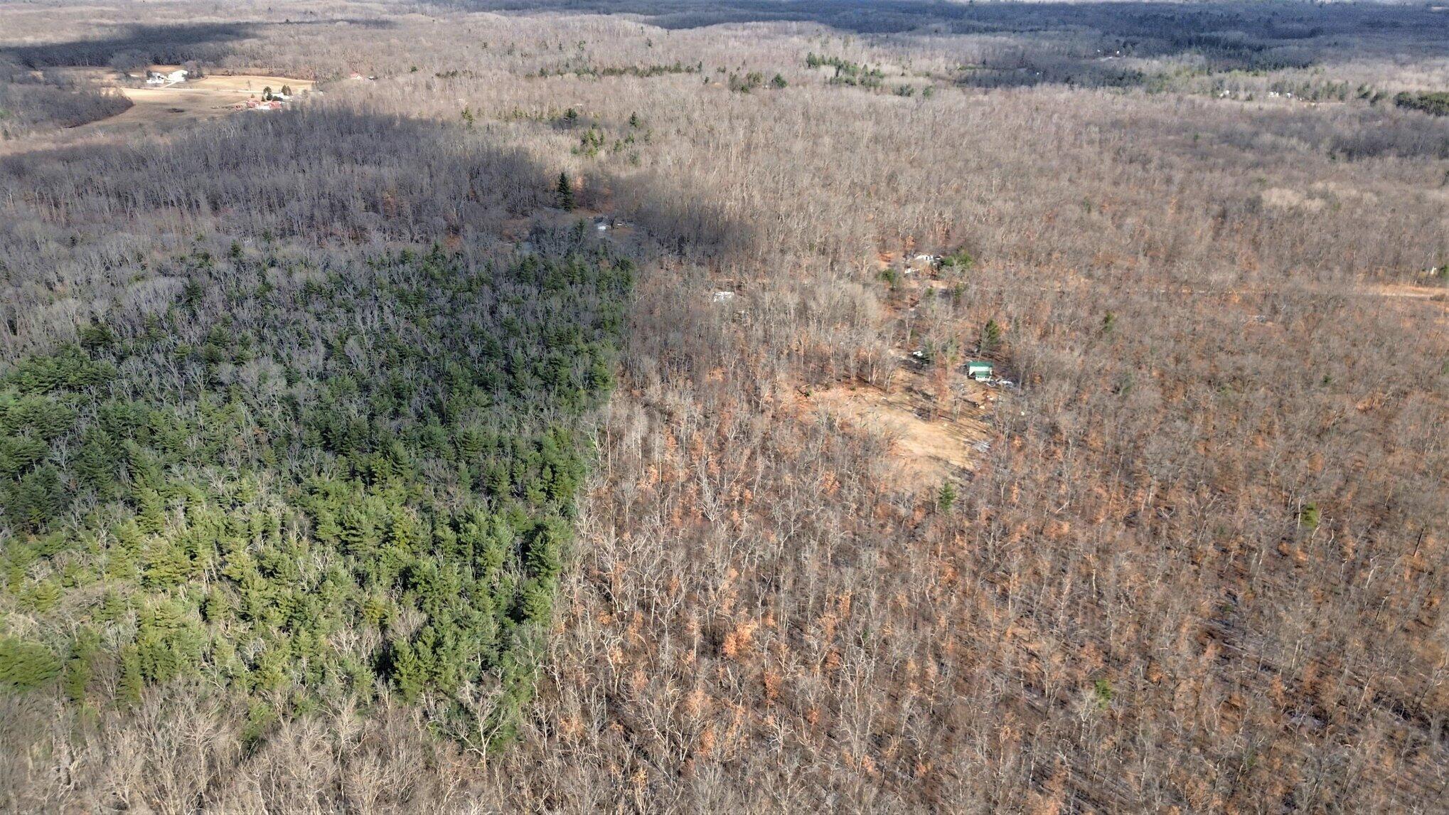 810 East 3 Mile Road White Cloud, MI 49349 - Photo 9 of 44 008_file_1121