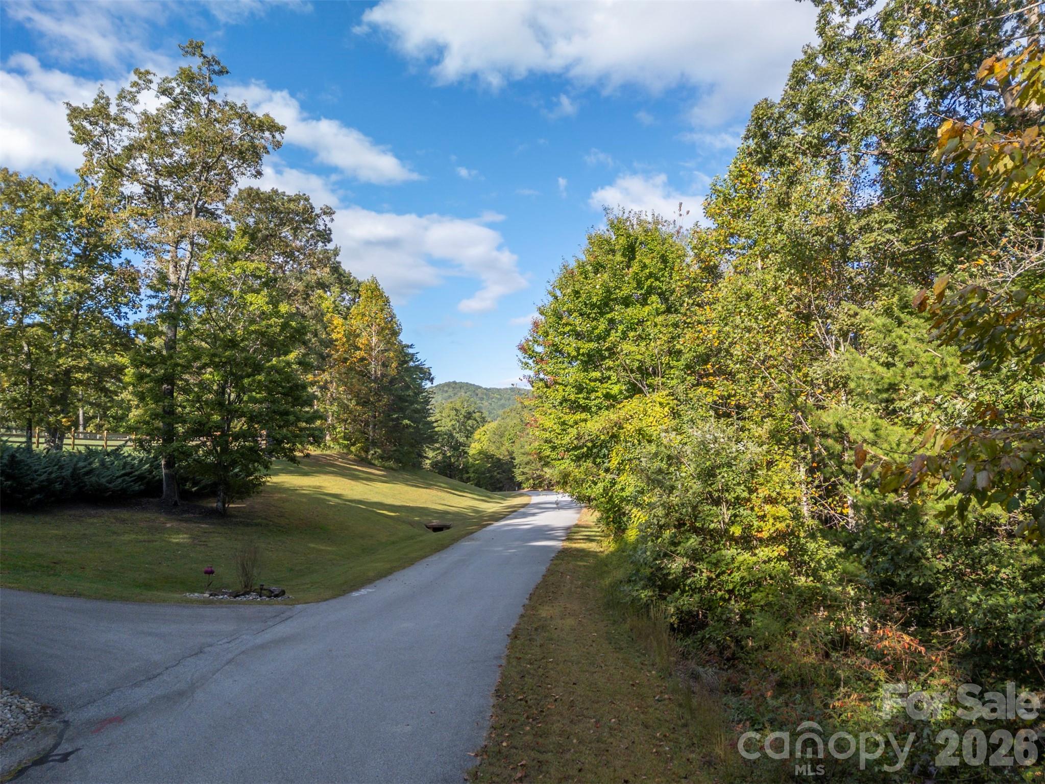 100 Pardo Road Landrum, SC 29356 - Photo 11 of 20 a view of a yard with a tree