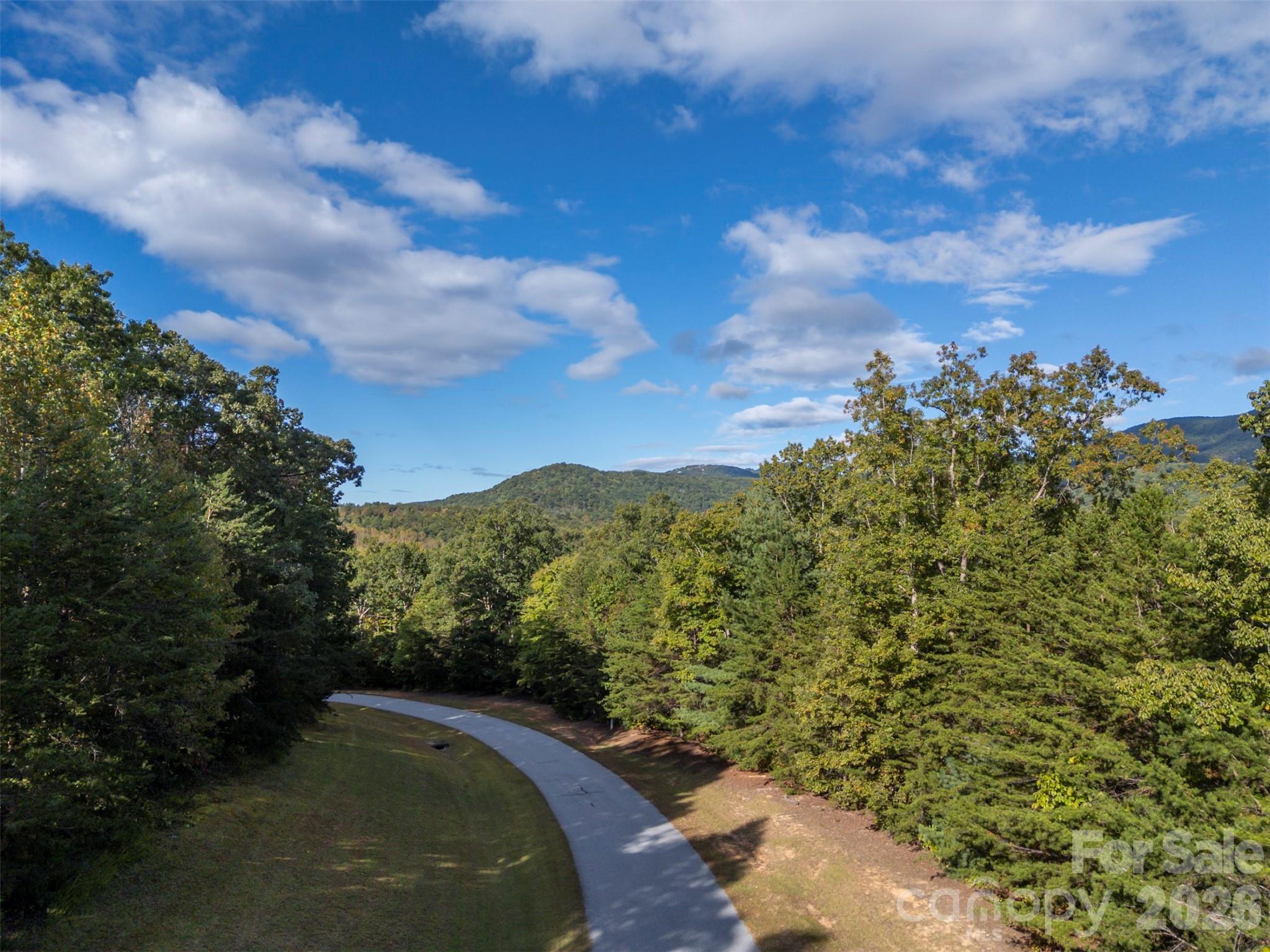 100 Pardo Road Landrum, SC 29356 - Photo 13 of 20 a view of a mountain