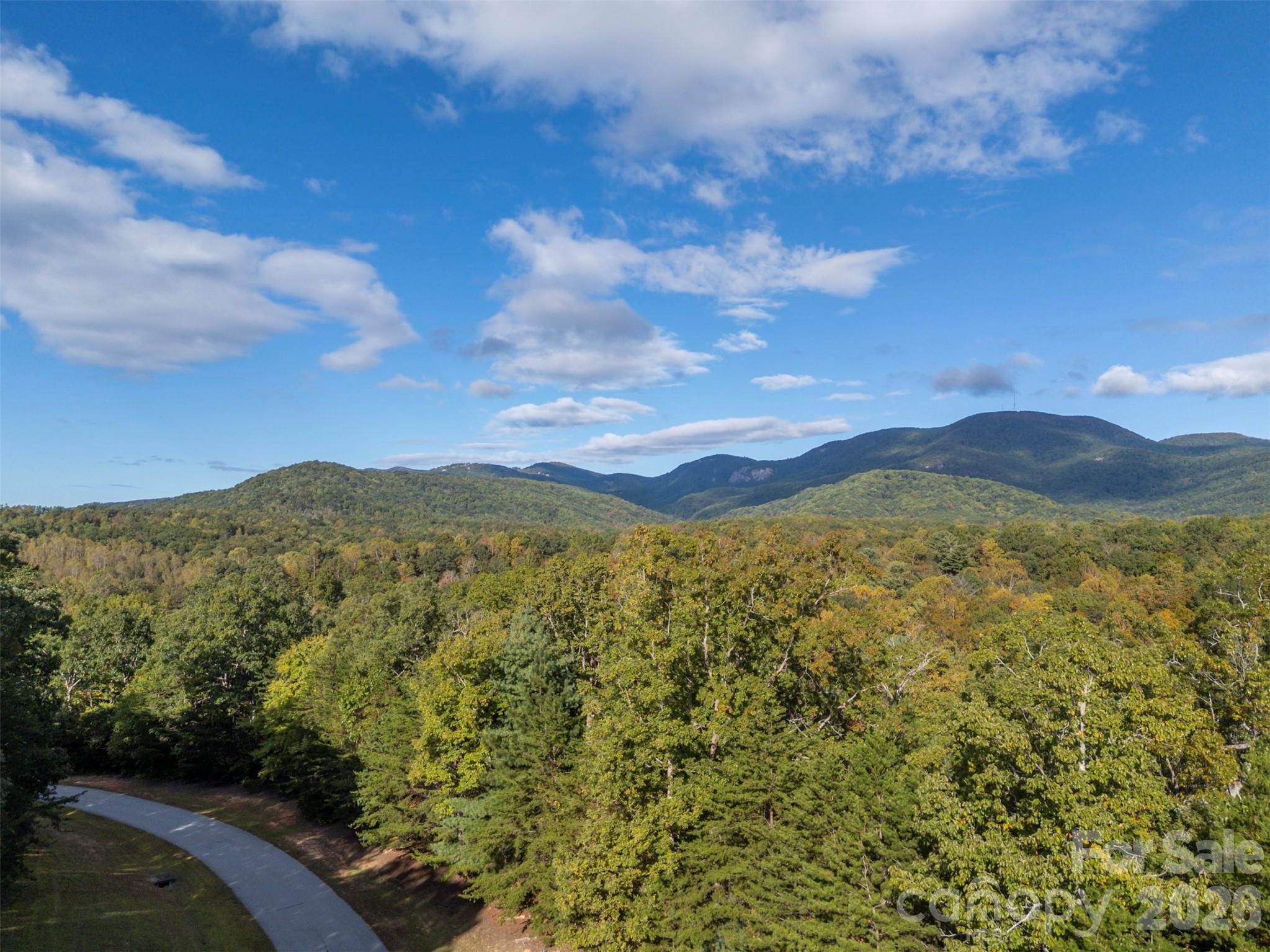 100 Pardo Road Landrum, SC 29356 - Photo 14 of 20 a view of a mountain range with lush green forest