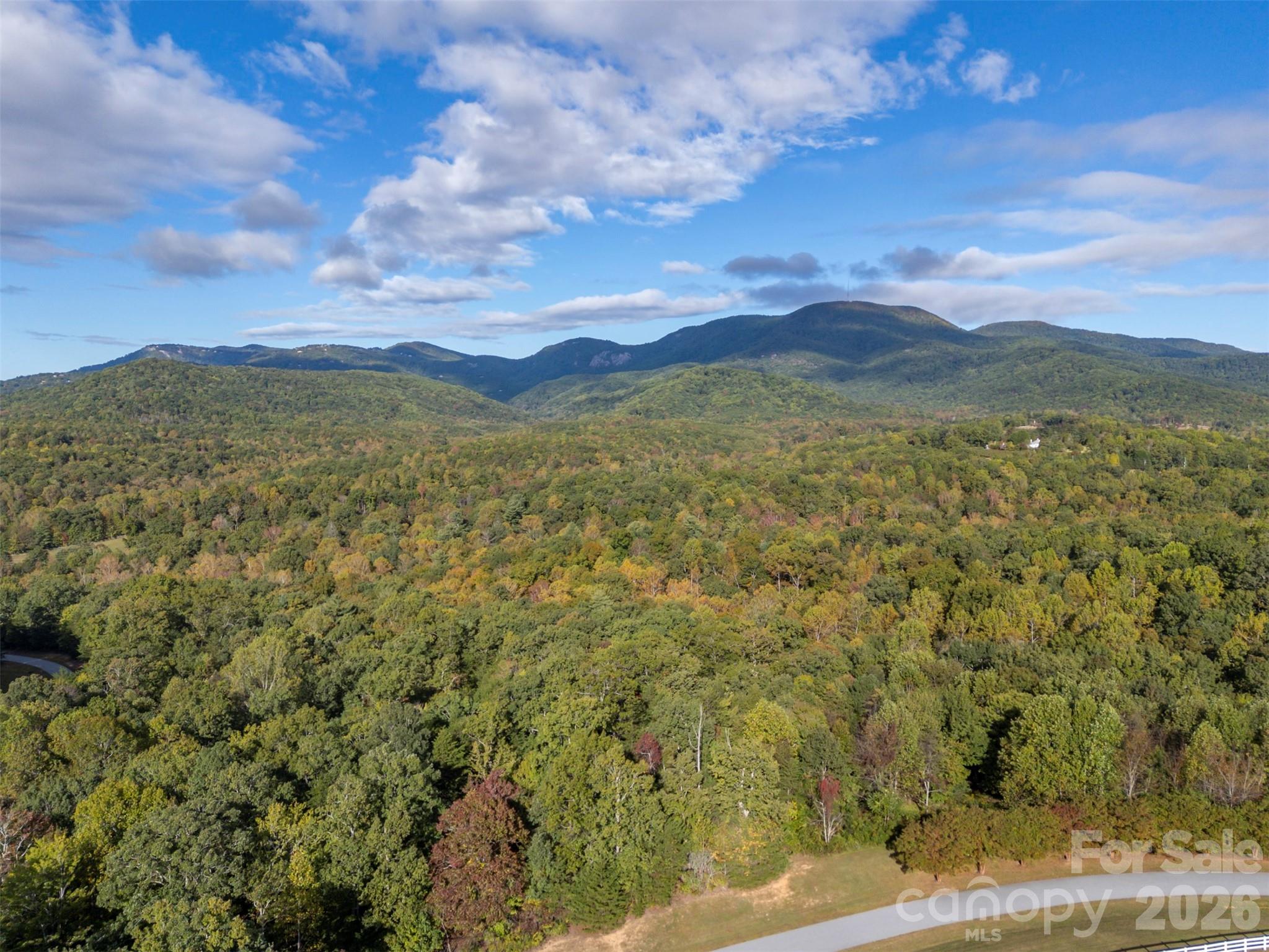 100 Pardo Road Landrum, SC 29356 - Photo 3 of 20 a view of mountain with lake view