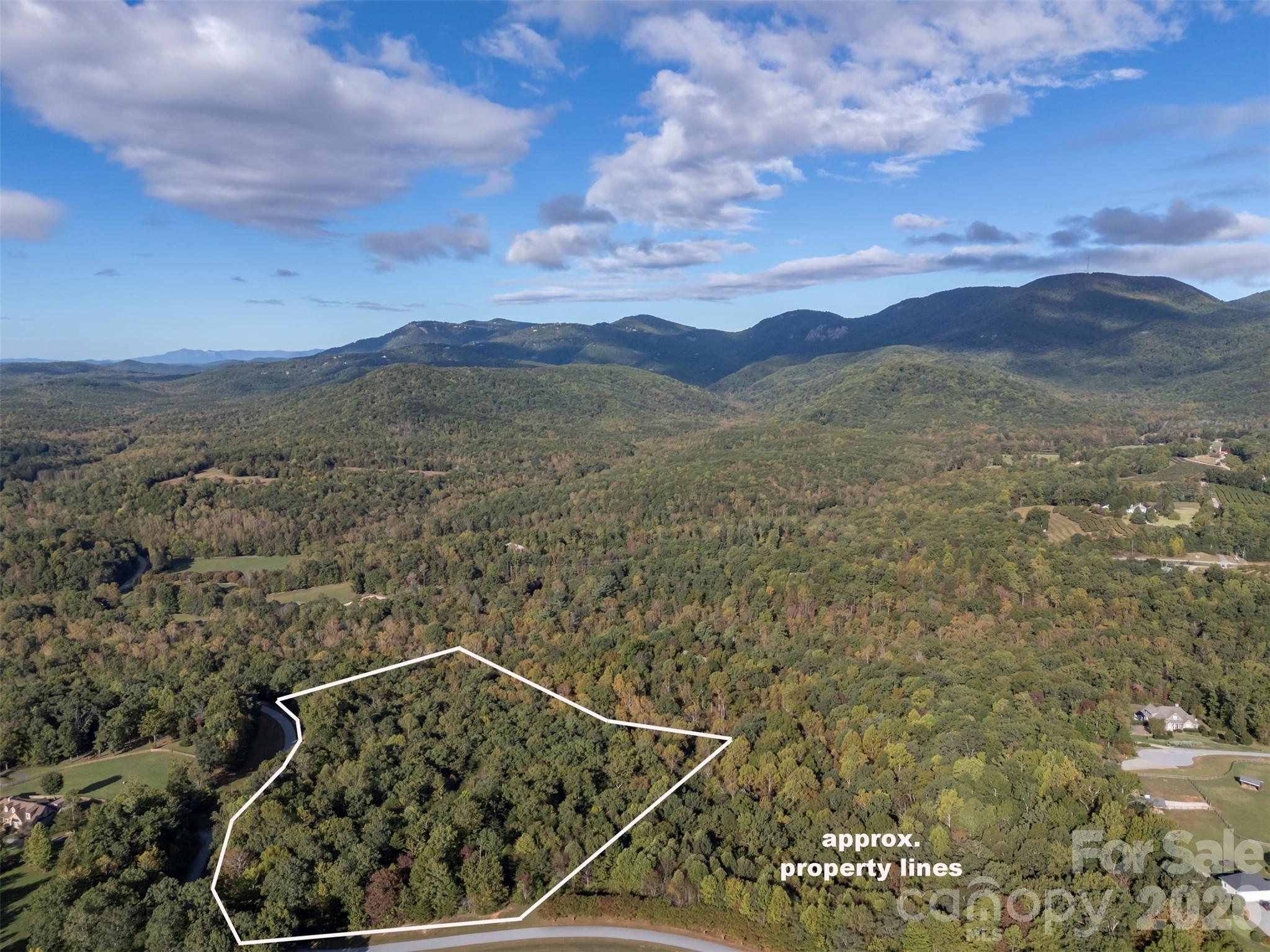 100 Pardo Road Landrum, SC 29356 - Photo 4 of 20 a view of a lot of a green space