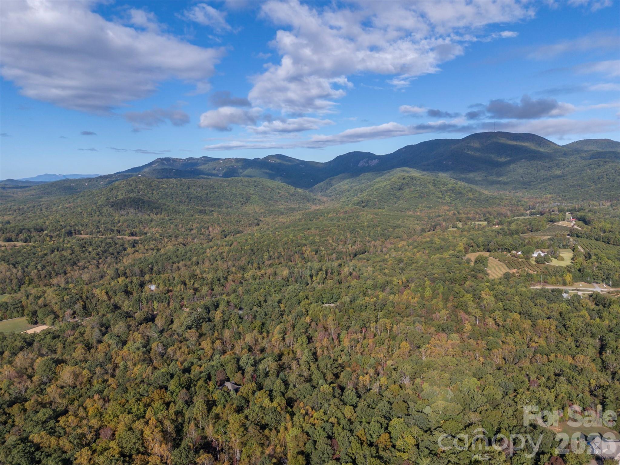 100 Pardo Road Landrum, SC 29356 - Photo 5 of 20 a view of mountain with sunset