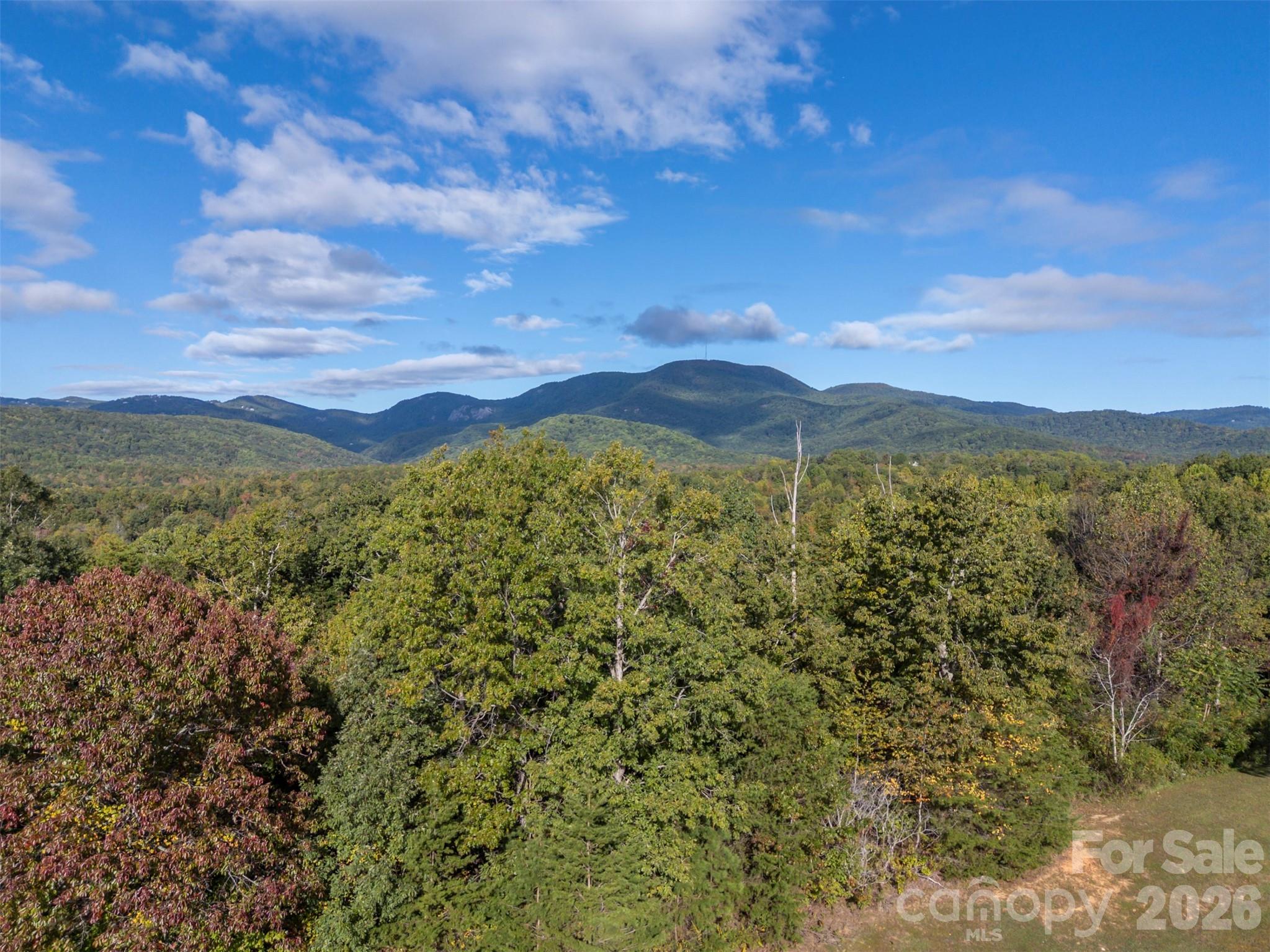 100 Pardo Road Landrum, SC 29356 - Photo 7 of 20 a view of lake view and mountain