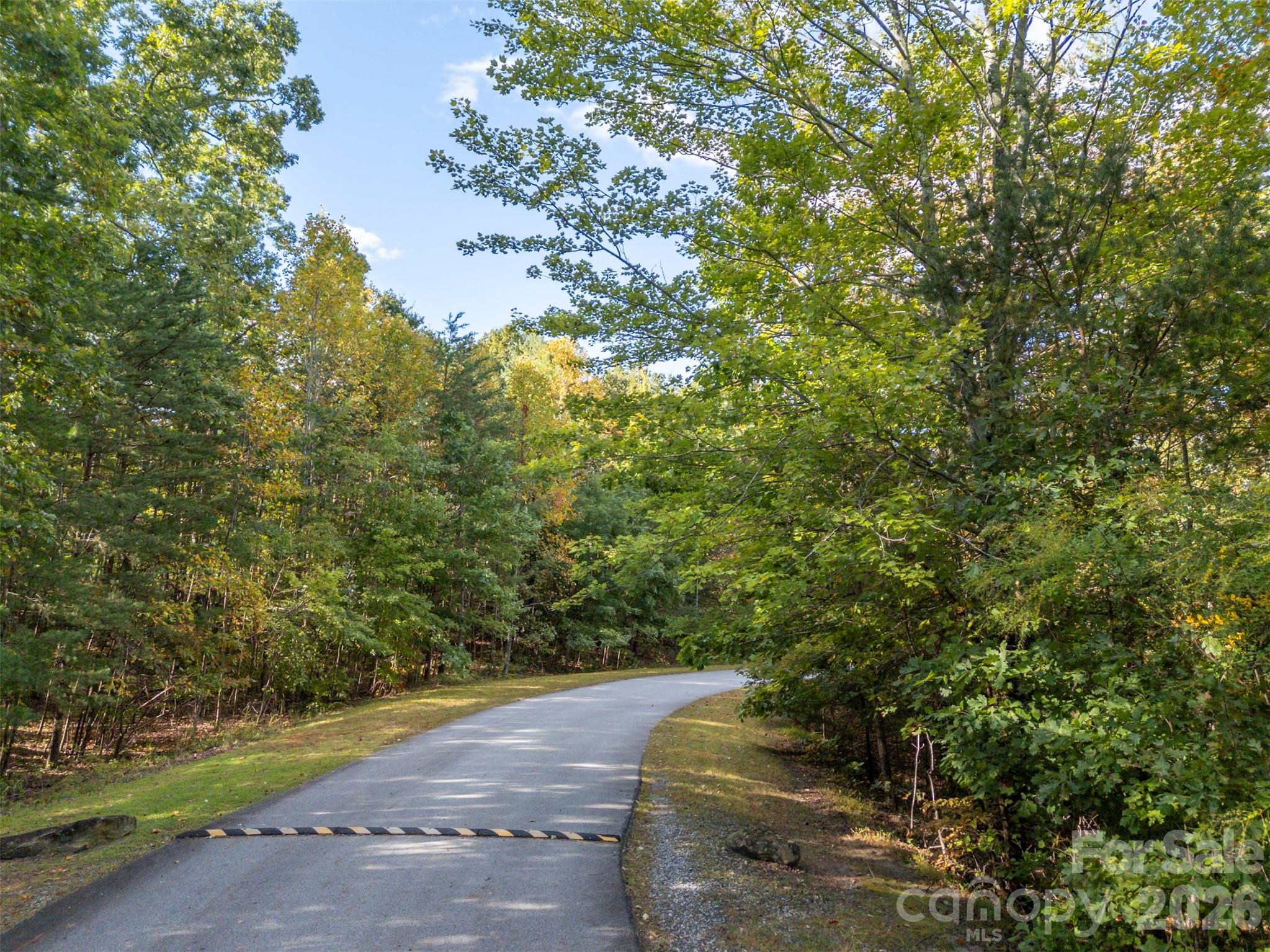 100 Pardo Road Landrum, SC 29356 - Photo 8 of 20 a view of a yard with plants