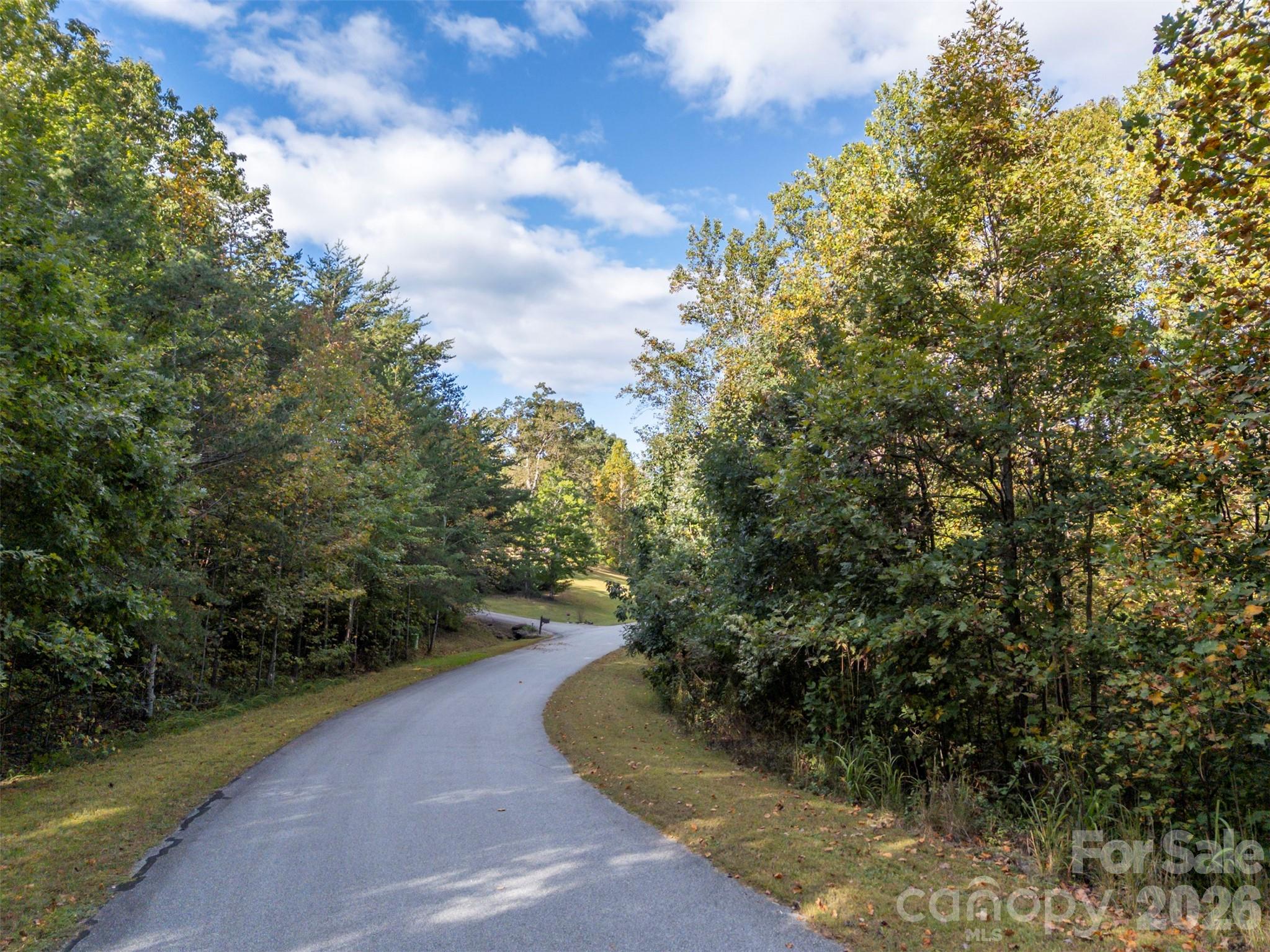 100 Pardo Road Landrum, SC 29356 - Photo 9 of 20 a view of a yard