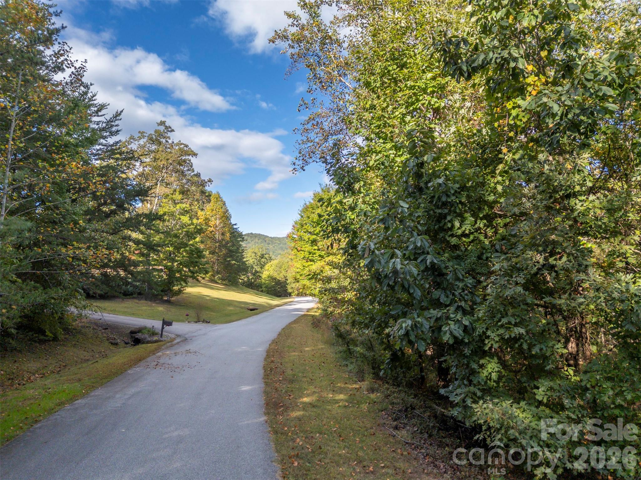100 Pardo Road Landrum, SC 29356 - Photo 10 of 20 a view of a yard with plants