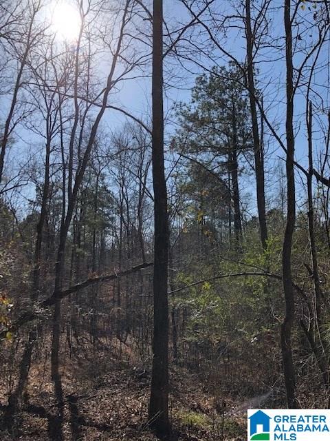 0 Blackjack Road, Unit 24 Trussville, AL 35173 - Photo 17 of 21