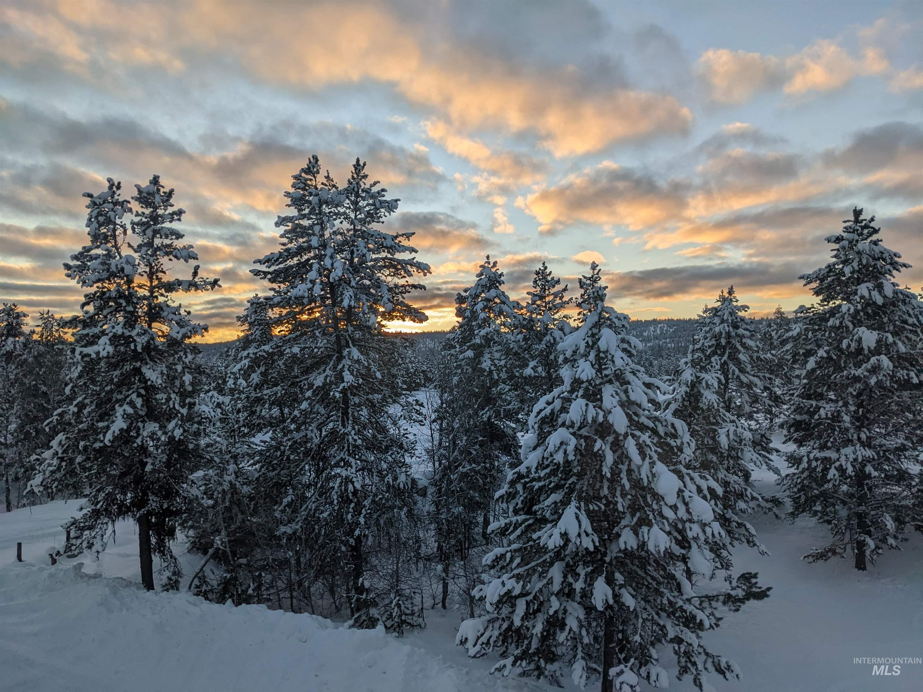 311 Broken Ridge Way McCall, ID 83638 - Photo 26 of 44 Expansive winter landscape featuring snow-covered evergreen trees and a dramatic cloudscape