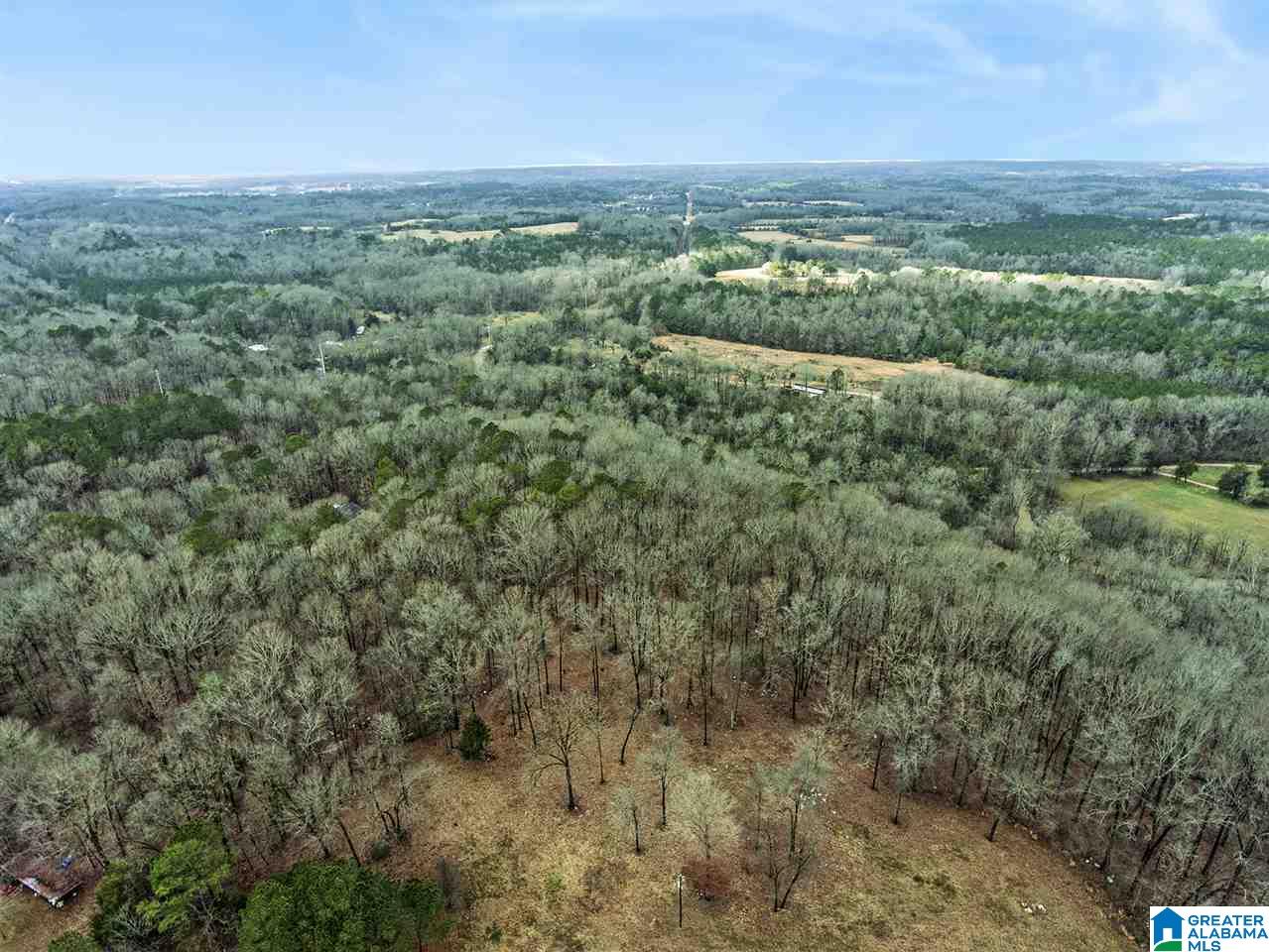 0 Spring Creek Road, Unit 30 AC Calera, AL 35040 - Photo 9 of 20