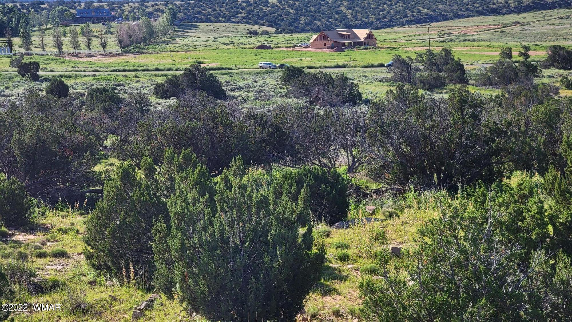 77 Highway 77 Snowflake, AZ 85937 - Photo 1 of 26