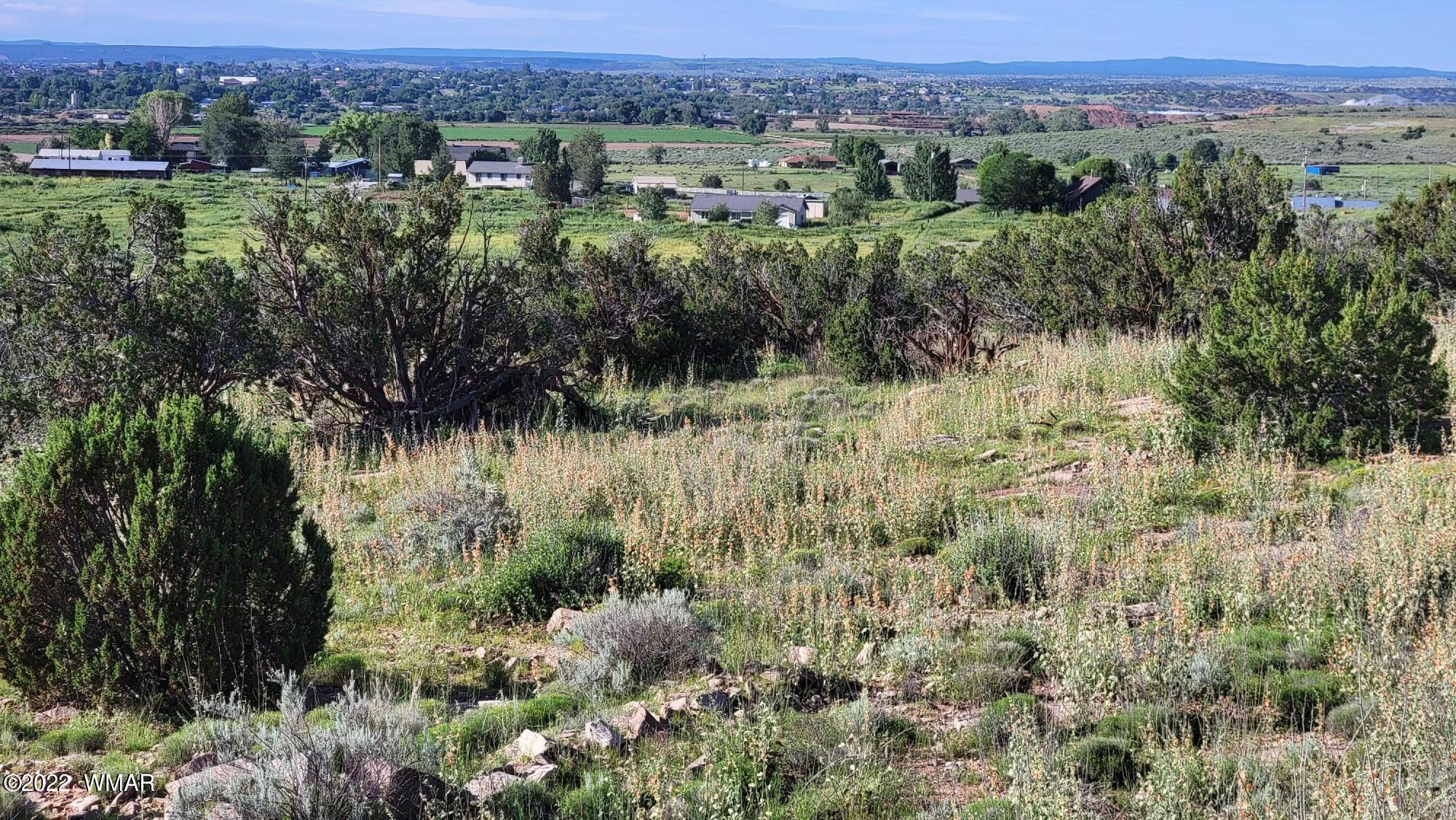 77 Highway 77 Snowflake, AZ 85937 - Photo 15 of 26